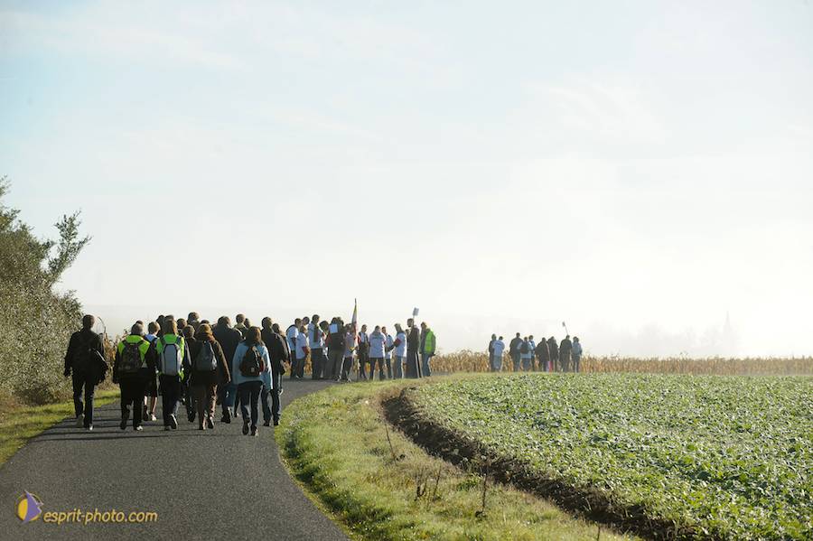 Nom de l'image : D30083030_1_(c)Norbert-JUNG — Description :